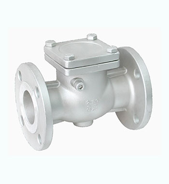 Check Valves